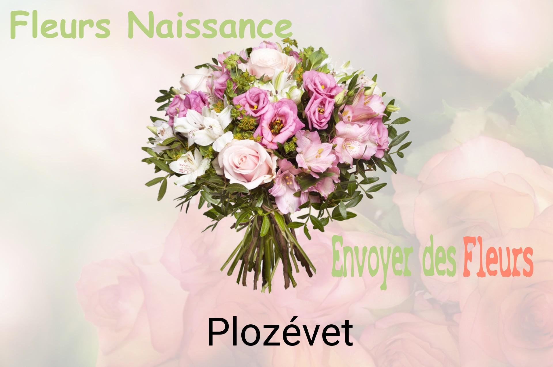 Bouquet de fleurs de naissance livré à Plozévet