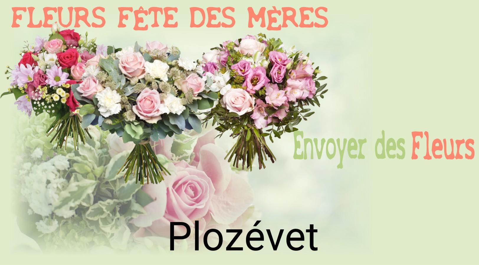 Bouquet de Fête des Mères livré à Plozévet